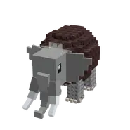 Cocofanto Elefanto