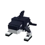 Orcalero Orcala