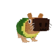 Pipi Avocado